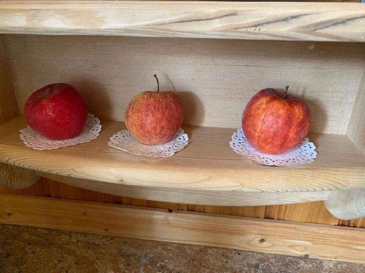 מוטנוואלד Alpenappartements Schwalbennestl מראה חיצוני תמונה